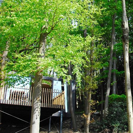 Gite Des Bois De Spa Bagian luar foto
