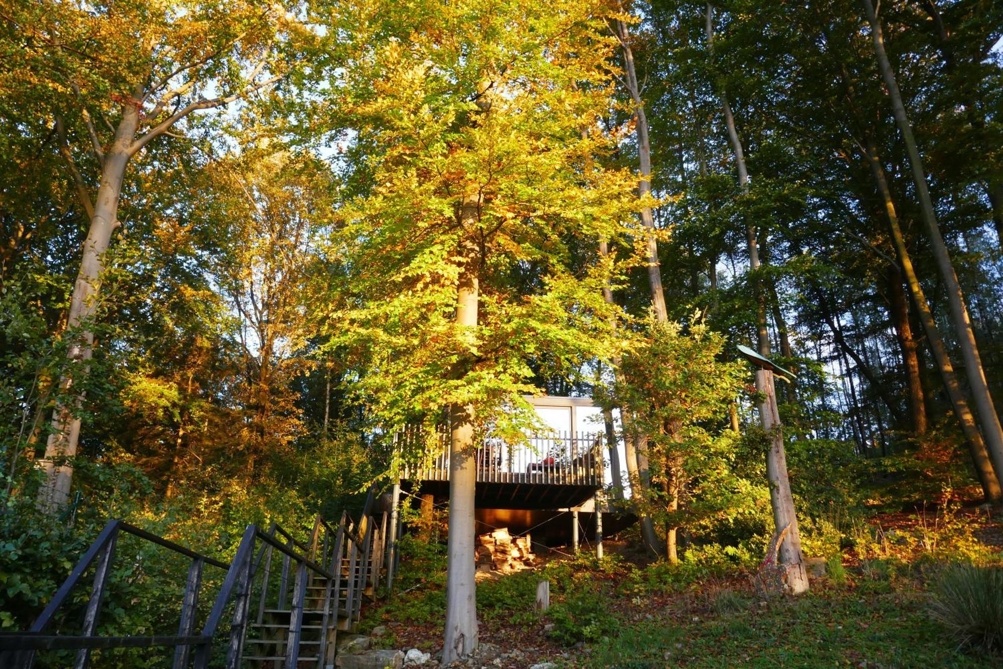 Gite Des Bois De Spa Bagian luar foto