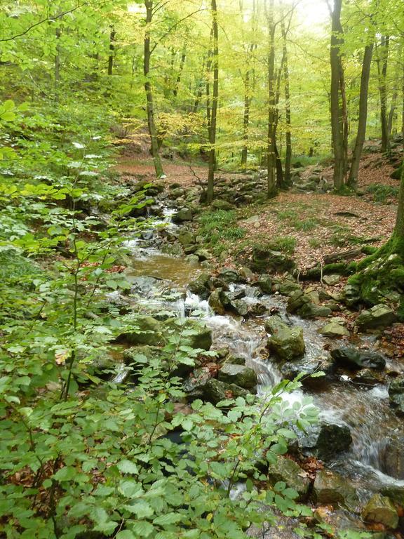 Gite Des Bois De Spa Bagian luar foto